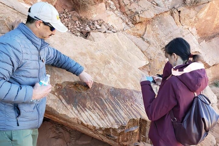 South Kaibab Trail Guided Hike: Grand Canyon Biblical Creation Tour to Cedar Ridge photo 6