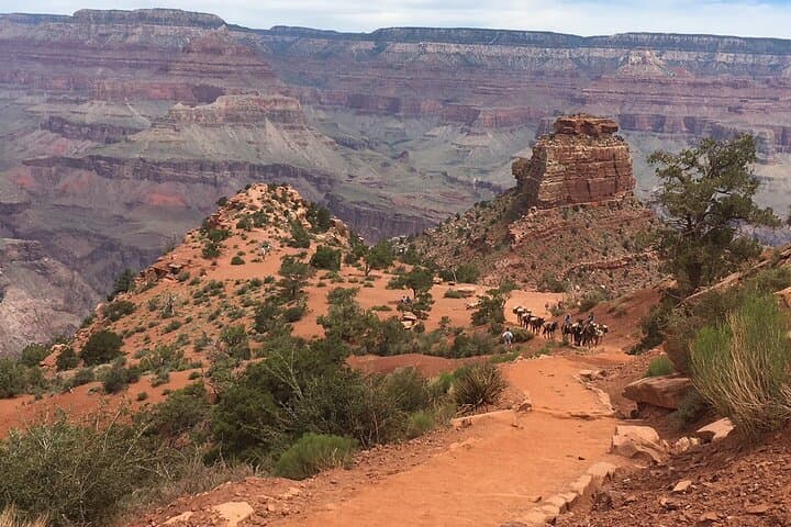South Kaibab Trail Guided Hike: Grand Canyon Biblical Creation Tour to Cedar Ridge photo 3