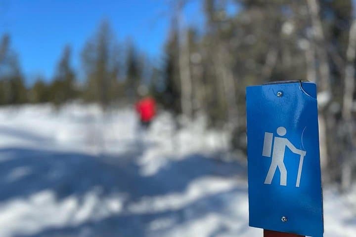 Yellowknife Winter Nature Hike — Boreal Forest, Frozen Lakes & Wildlife Tracks photo 3