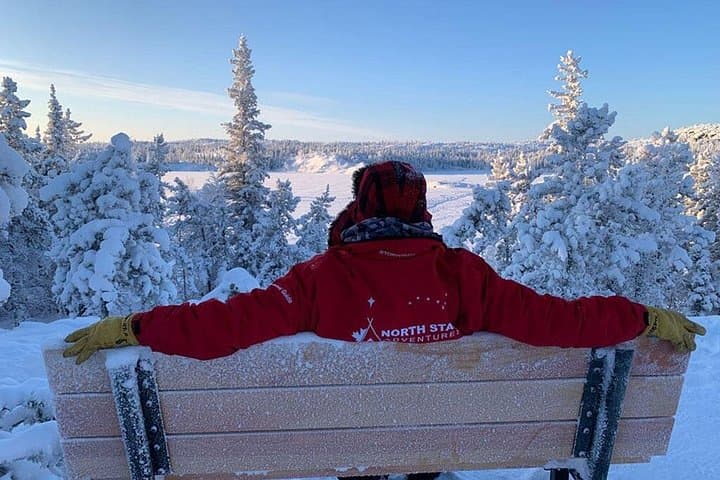 Yellowknife Winter Nature Hike — Boreal Forest, Frozen Lakes & Wildlife Tracks photo 1