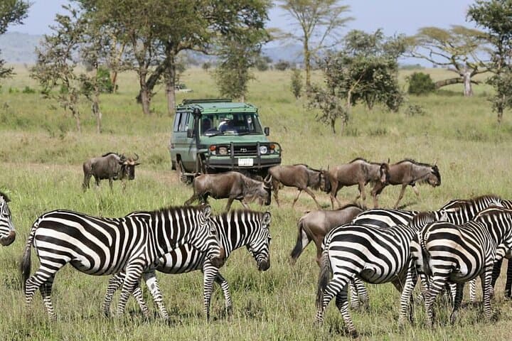 Full-Day Arusha National Park Safari: Walking & Jeep Tour to Ngurdoto Crater and Momella Lakes