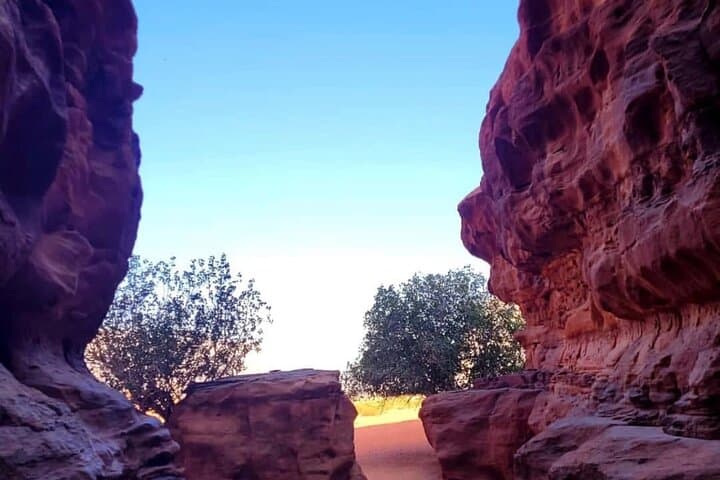 Wadi Rum Full-Day Jeep Tour and Overnight Bedouin Camp Experience photo 6