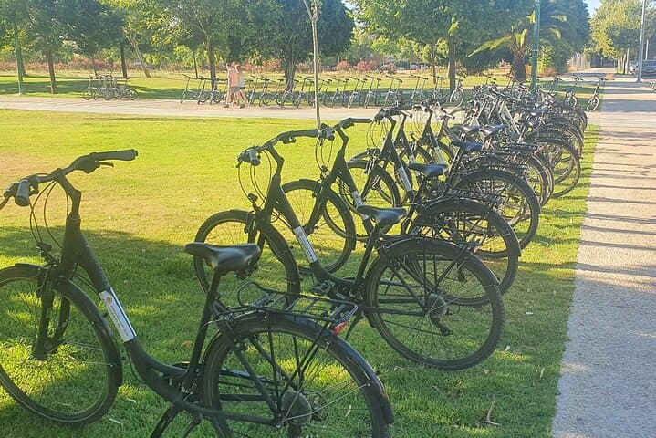Explore Seville by Bike: Day Rentals to See the City Like a Local photo 2