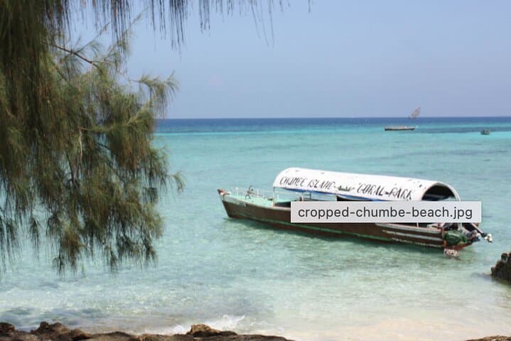 Full-Day Chumbe Island Coral Park: Snorkel Reefs & Eco-Bungalows photo 3