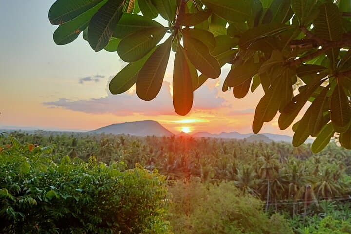Battambang Full-Day Countryside & Bamboo Train Tour to Secret Bat Cave photo 3