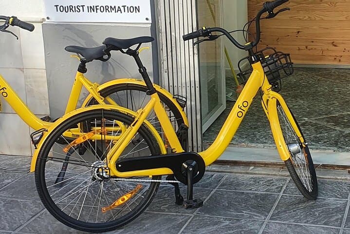 Explore Seville by Bike: Day Rentals to See the City Like a Local photo 6