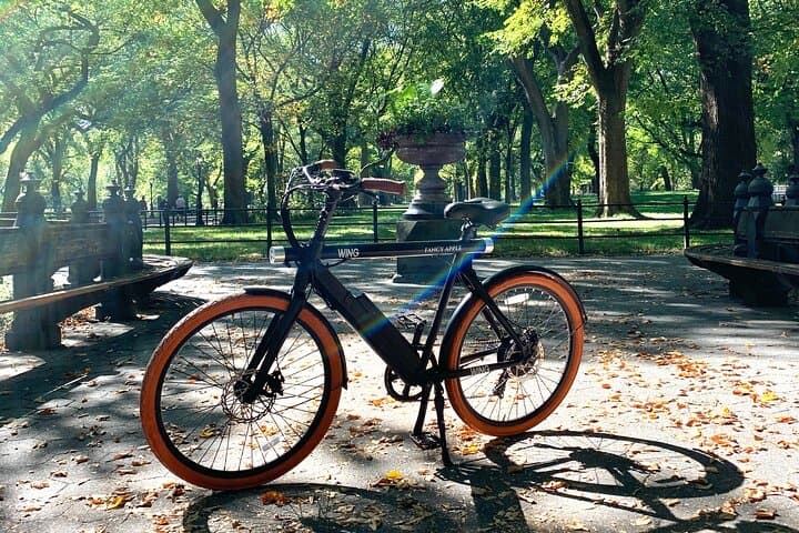 Explore Central Park on an Electric Bike — NYC Rental Guide photo 5