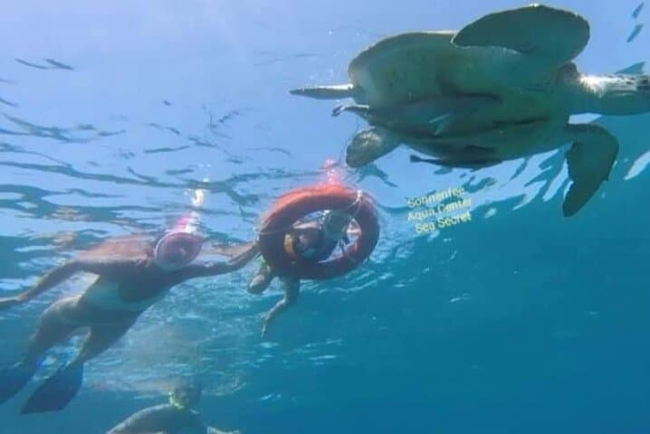 Snorkel Turtle Bay (Abu Dabbab) — Day Trip from Hurghada to Marsa Alam photo 4