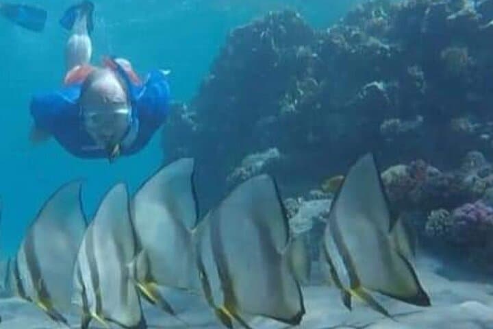 Snorkel Turtle Bay (Abu Dabbab) — Day Trip from Hurghada to Marsa Alam photo 5