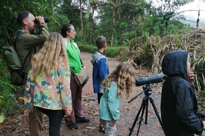 Mindo Guided Birding Photography Experience: Capture Cloud-Forest Birds photo 2