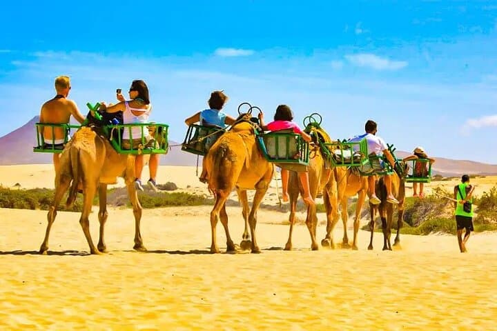 E-Bike and Camel Safari Through Maspalomas Dunes: Ride, Dunes & Oasis