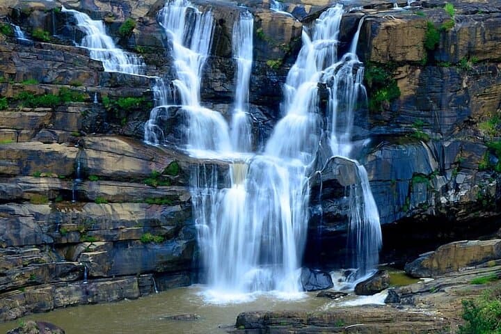 Sri Lanka 8-Day Private Guided Tour: Sigiriya, Kandy, Ella & Yala