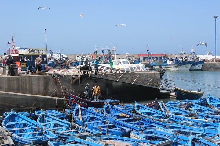 Exploring the Rich Heritage of Essaouira on a Day Trip photo 5