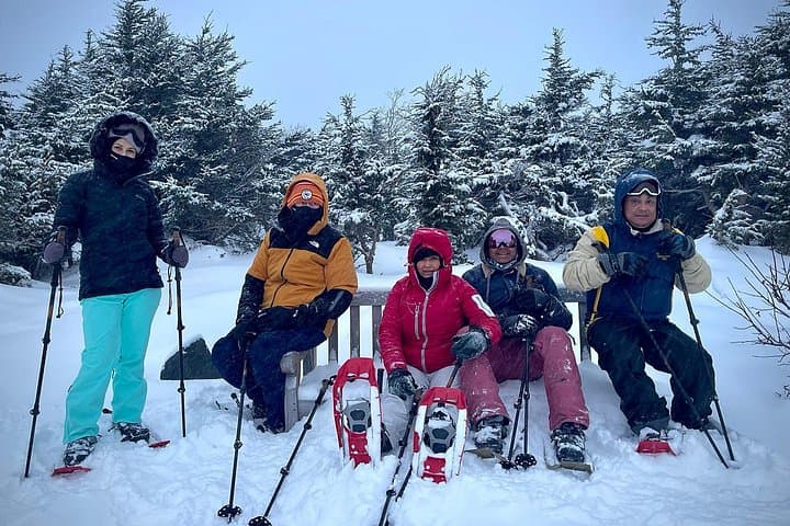 Anchorage Glen Alps Beginner Snowshoeing: 3-Hour Intro with Views of Cook Inlet photo 3