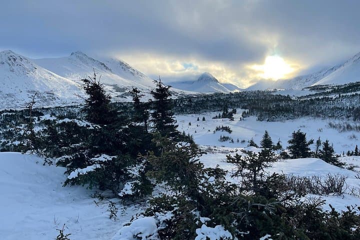 Anchorage Glen Alps Beginner Snowshoeing: 3-Hour Intro with Views of Cook Inlet photo 2