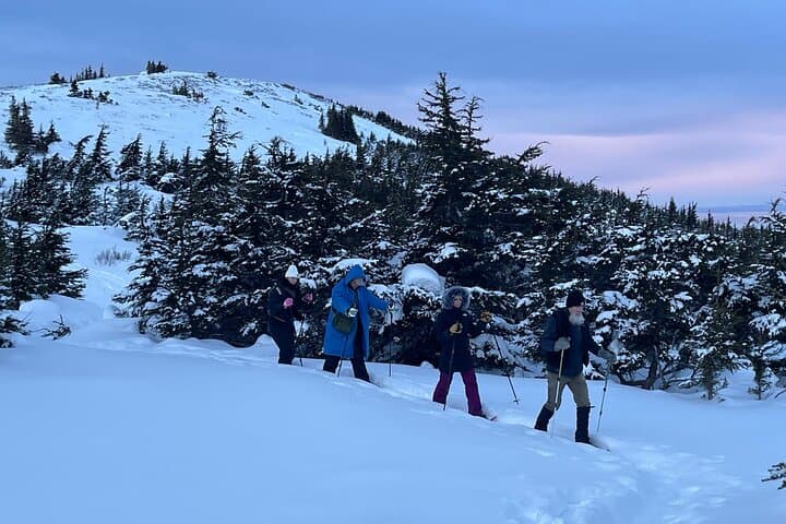 Advanced Snowshoeing in Glen Alps: Winter Tour from Anchorage photo 6