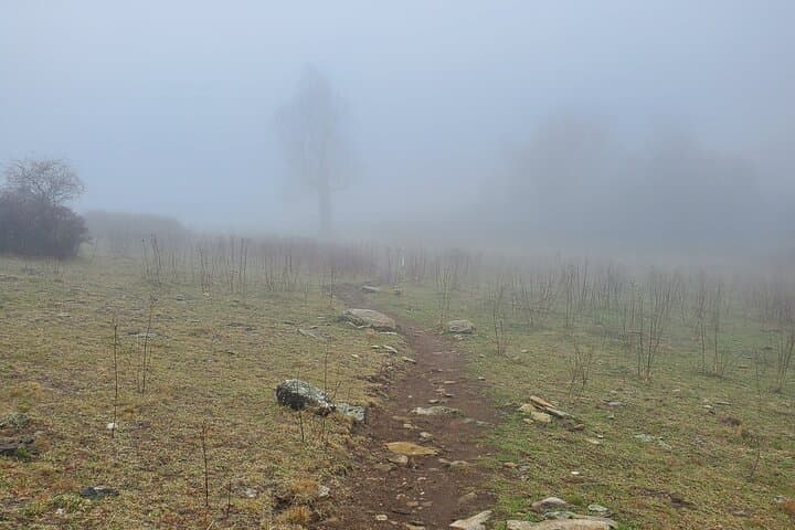 Privately Guided Full-Day Hike in the Blue Ridge Mountains photo 2