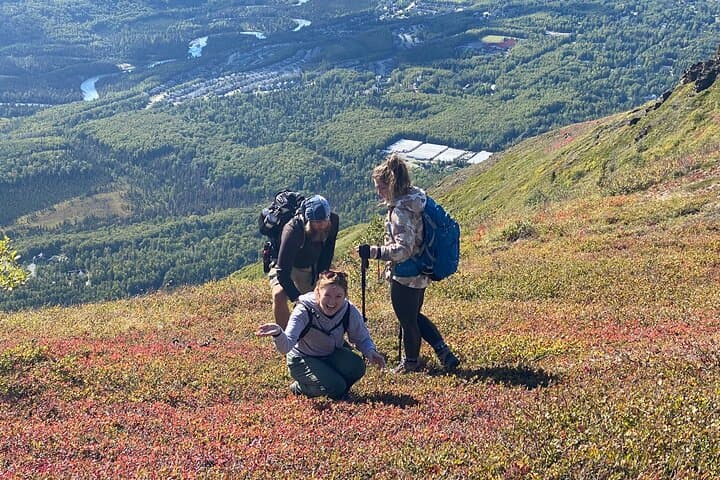 Alpine Classic Trek: Chugach Ridgeline Hike with Mile-High Views photo 2
