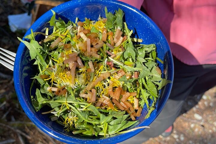 Forage, Hike, Cook: Anchorage Backcountry Eats Daytrip photo 5