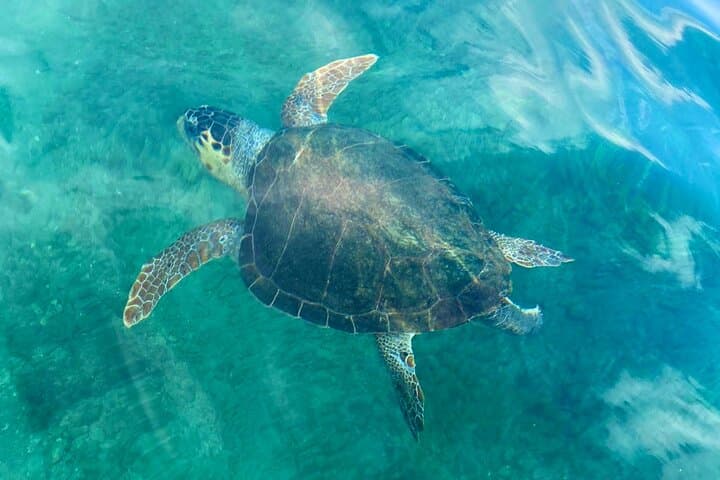 Stand-up Paddleboard to Lazareta: SUP and Snorkel Adventure from Chania photo 3