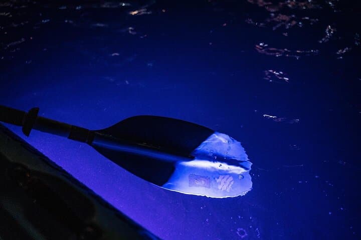 LED Night Kayak Tour on Condado Lagoon — San Juan Clear Kayak Experience photo 4