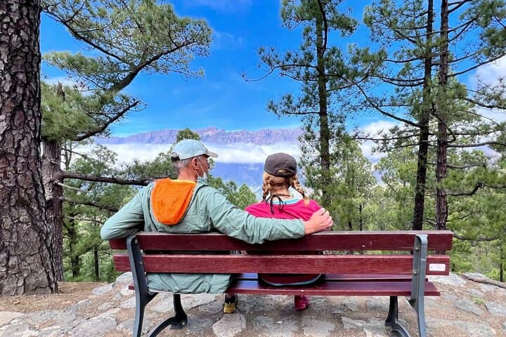 Tajogaite Volcano & La Cumbrecita Day Trip from Tenerife: Explore Santa Cruz de La Palma and New Lava Flows