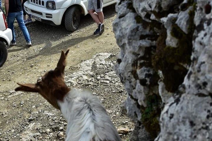 Self-Drive 4x4 Jeep Adventure in Crete's Dikti & Lassithi Highlands photo 3