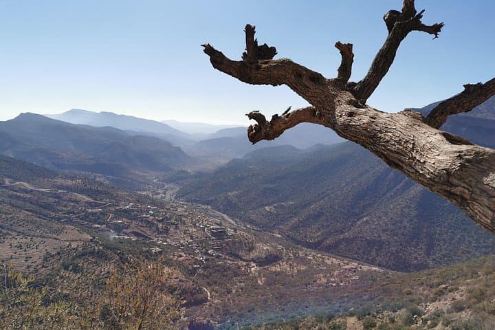 Ourika Valley & Three Berber Villages from Marrakech — Waterfalls, Souks, and Atlas Views photo 1
