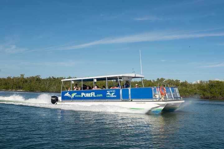 Keewaydin Island Eco Shelling Cruise: Dolphin-Watching from Naples