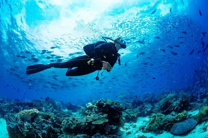 Introduction to Scuba Diving at Jumeirah Beach — Dubai Beginner Dive photo 3