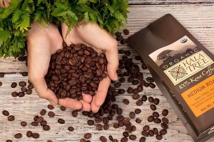 Hands-On Kona Coffee Roasting Class on the Big Island photo 4