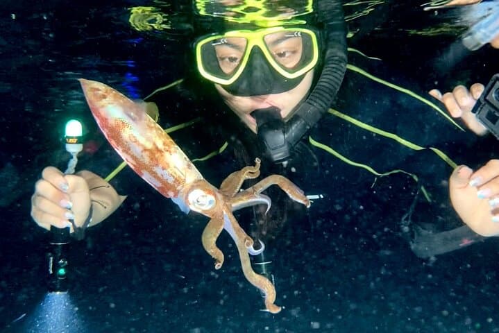 Cozumel Night Snorkel: Octopus and Squid Observation Tour