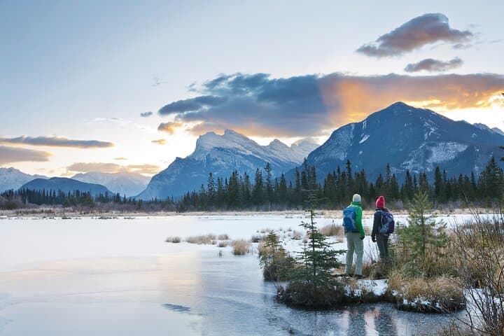 Banff Nature Walk: 2-Hour Guided Walk in Banff National Park