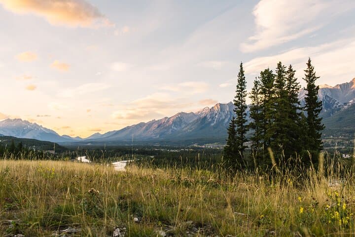 Banff Private Safari Drive & Custom Nature Walk — 4-Hour Wildlife Experience photo 2