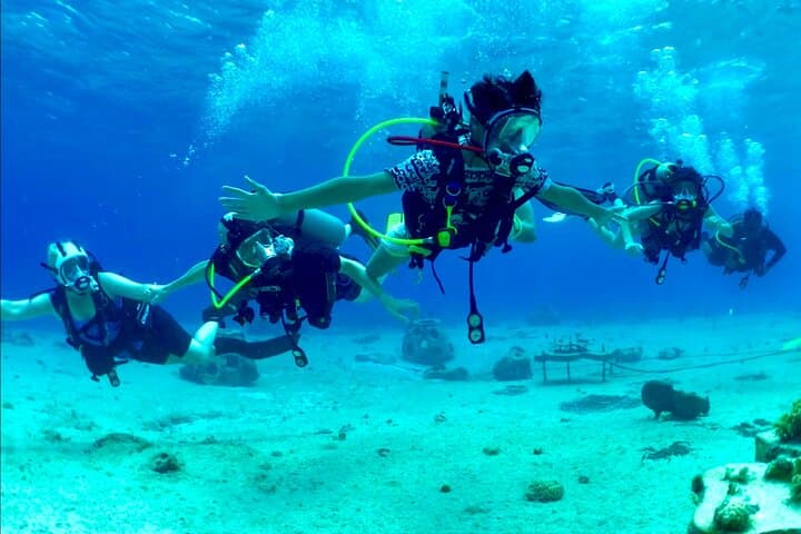 Cozumel Beginner Shore Dive — Full-Face Mask Intro for Non-Swimmers photo 5