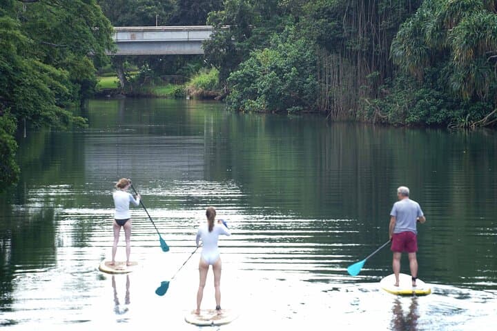 Haleiwa Rainbow Bridge SUP on the Anahulu River: Calm Brackish Paddling & Turtle Sightings