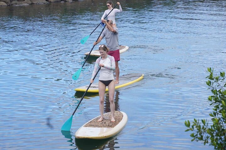 Haleiwa Rainbow Bridge SUP on the Anahulu River: Calm Brackish Paddling & Turtle Sightings photo 2
