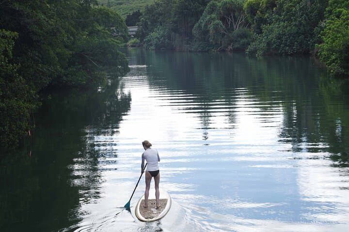 Haleiwa Rainbow Bridge SUP on the Anahulu River: Calm Brackish Paddling & Turtle Sightings photo 5