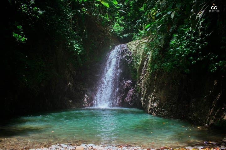 Grenada Full-Day Tour: Belmont Estate, Grand Etang & Annandale Falls photo 3