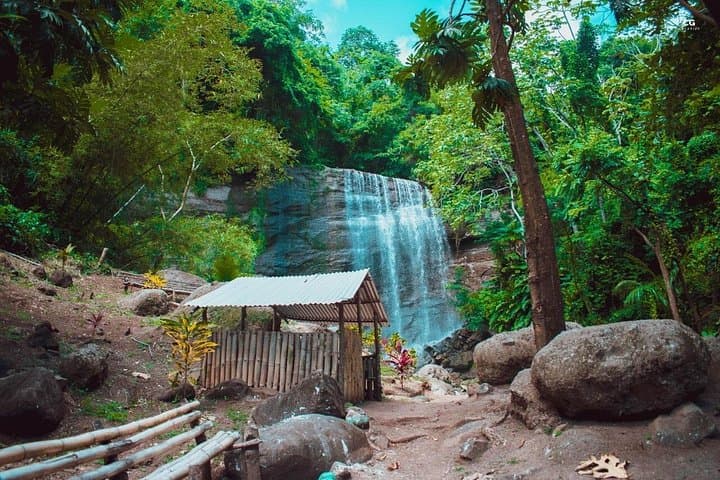 Grenada Full-Day Tour: Belmont Estate, Grand Etang & Annandale Falls photo 4