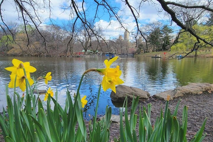 Central Park Secrets and Highlights: Guided Southern Park Walking Tour photo 3