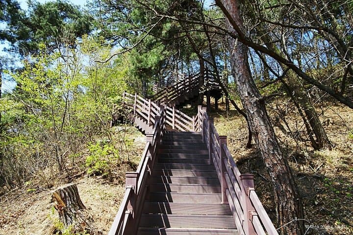 Icheon Baekjoksan Hike & Pig Museum Tour — Easy Mountain Walk Near Seoul photo 3