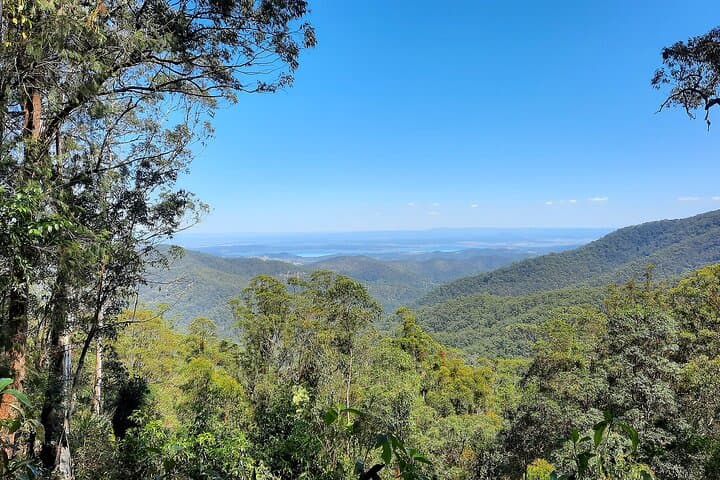 Mount Glorious to Mount Mee Car Tour — D'Aguilar Rainforest, Somerset Dam & Glass House Vistas photo 2