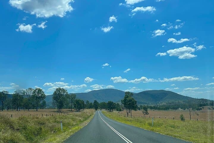 Mount Glorious to Mount Mee Car Tour — D'Aguilar Rainforest, Somerset Dam & Glass House Vistas photo 4