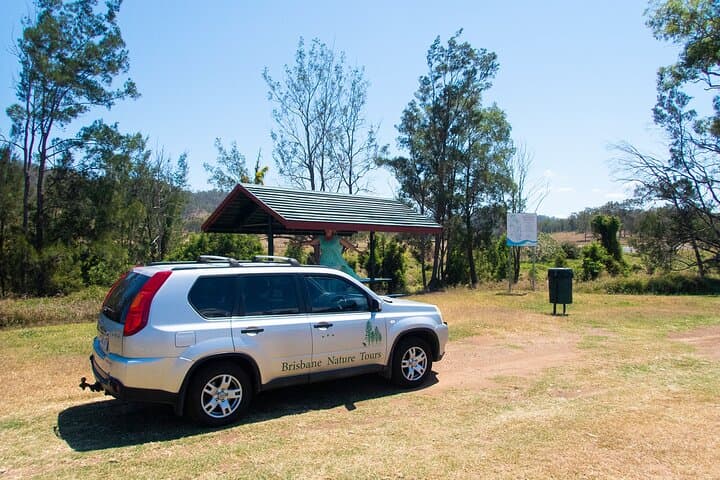 Mount Glorious to Mount Mee Car Tour — D'Aguilar Rainforest, Somerset Dam & Glass House Vistas photo 6