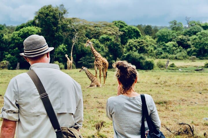 Private Day Trip to Arusha National Park — Walking Safari to Mount Meru Waterfall photo 1