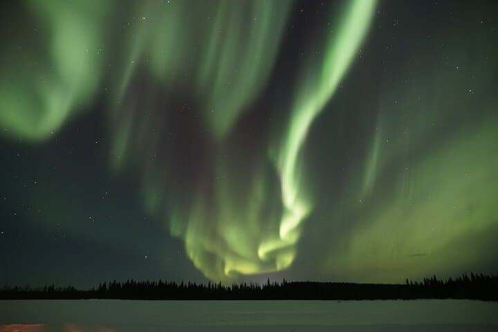 Aurora Borealis Picnic: Northern Lights Viewing with Lappish Picnic from Rovaniemi photo 5