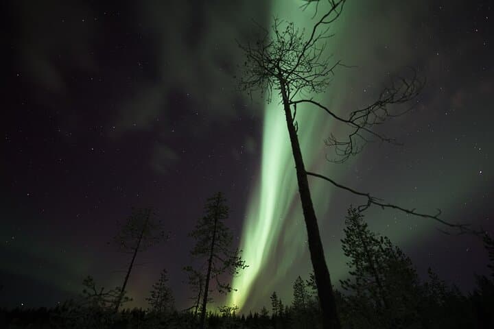 Aurora Picnic in Rovaniemi: Autumn Northern Lights by Open Fire photo 6