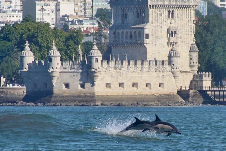 Meet the Lisbon Dolphins: Small-Group Dolphin Watching & Research Cruise