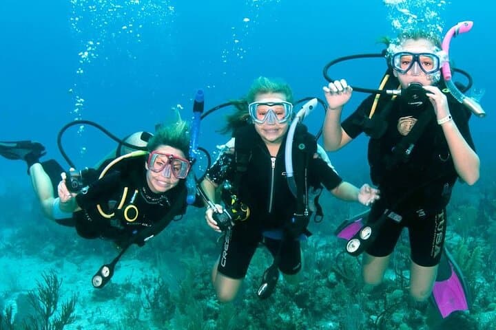 Fujairah PADI Scuba Diver Course — 2-Day Beginner Certification on the East Coast